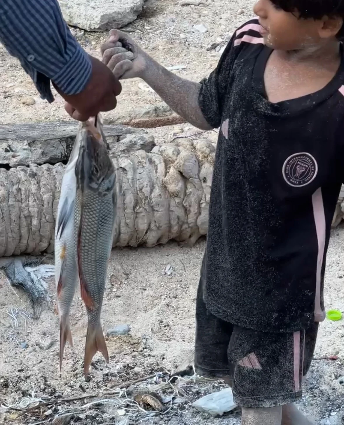 A child in a football shirt looking at freshly caught fish.