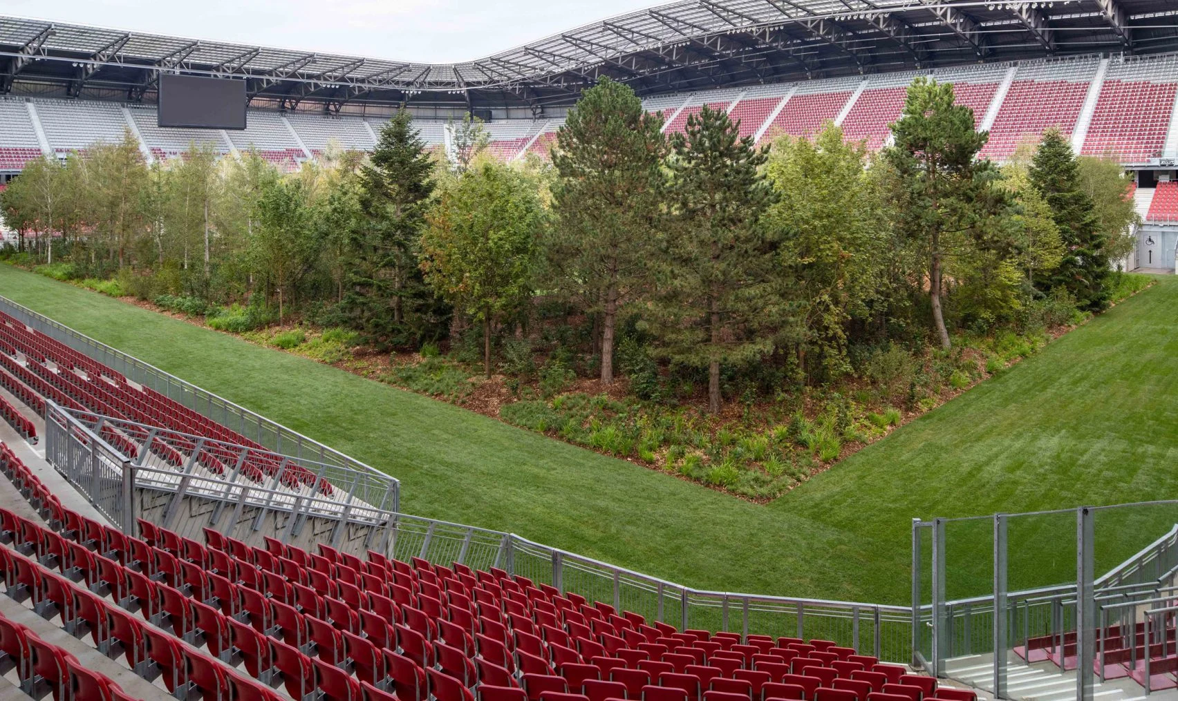 klaus-littmann-for-forest-worthsee-stadium-klagenfurt-photo-gerhard-maurer-trees-installat