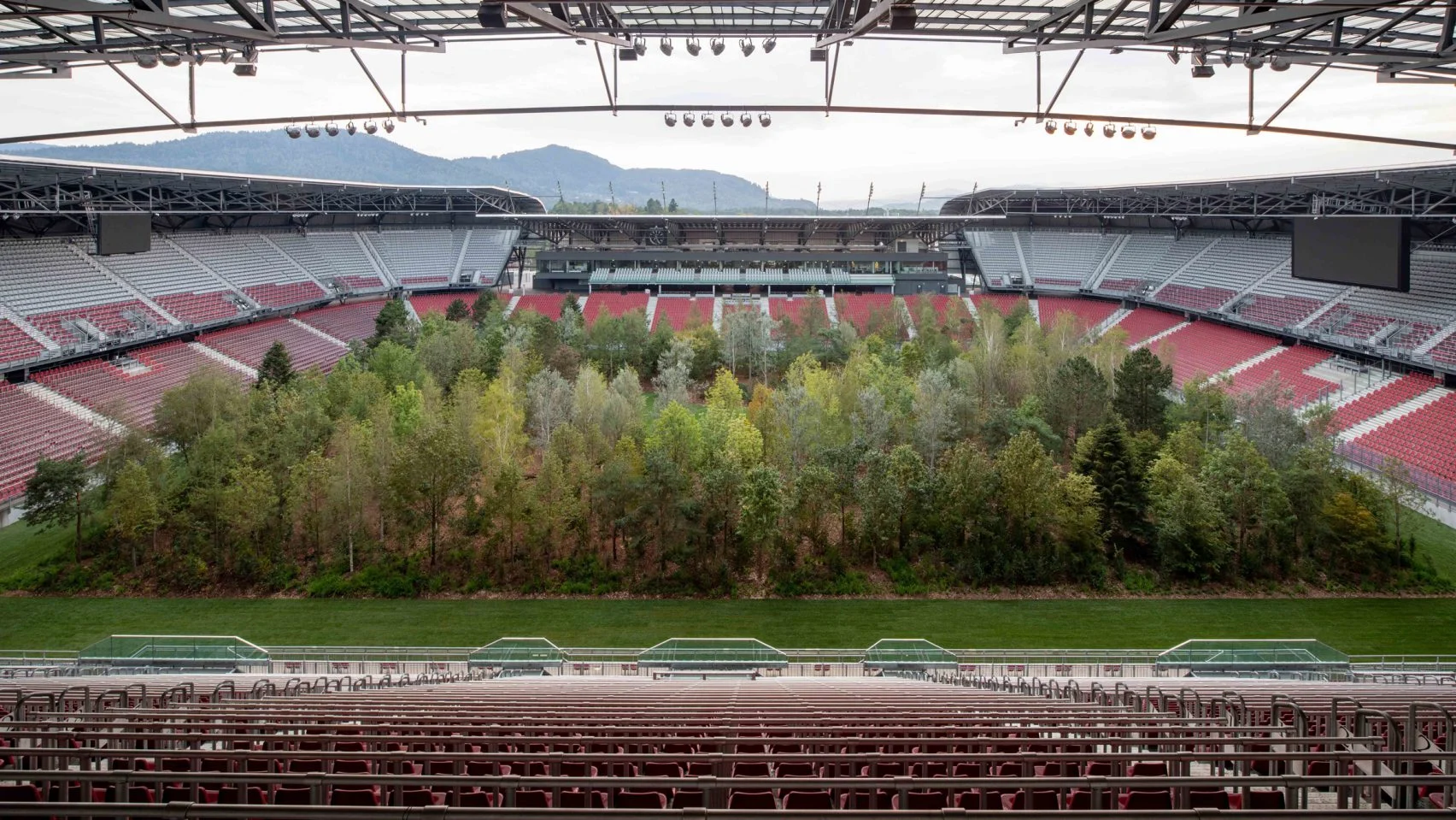 klaus-littmann-for-forest-worthsee-stadium-klagenfurt-photo-gerhard-maurer-trees-installat